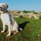 Una mañana de paseo por el campo